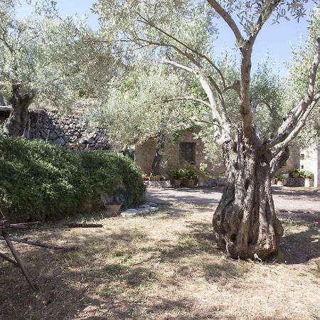 Villa Es Coco, Soller Puerto de Sóller 외부 사진