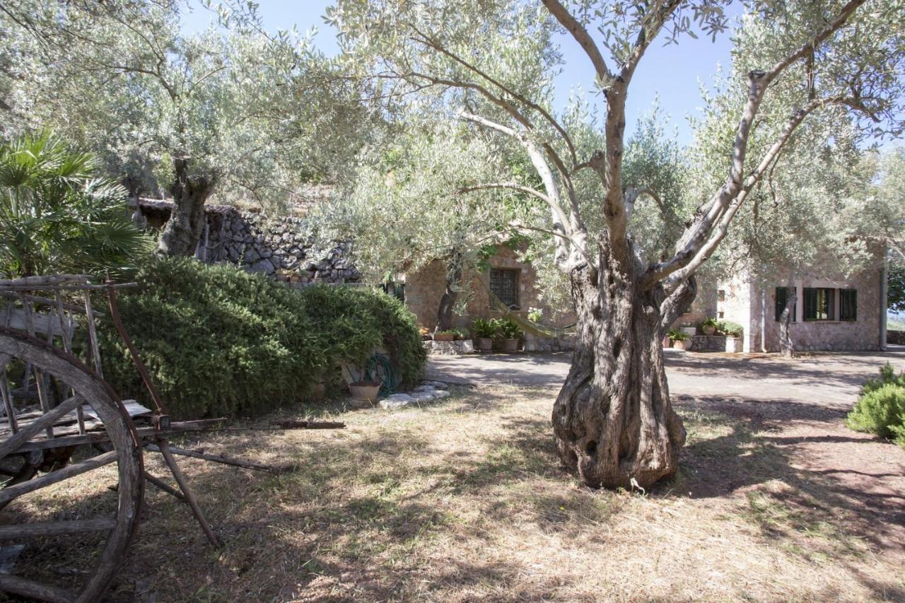 Villa Es Coco, Soller Puerto de Sóller 외부 사진