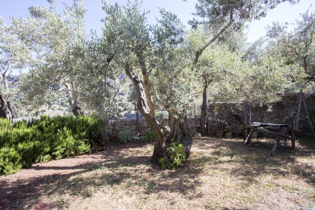Villa Es Coco, Soller Puerto de Sóller 외부 사진