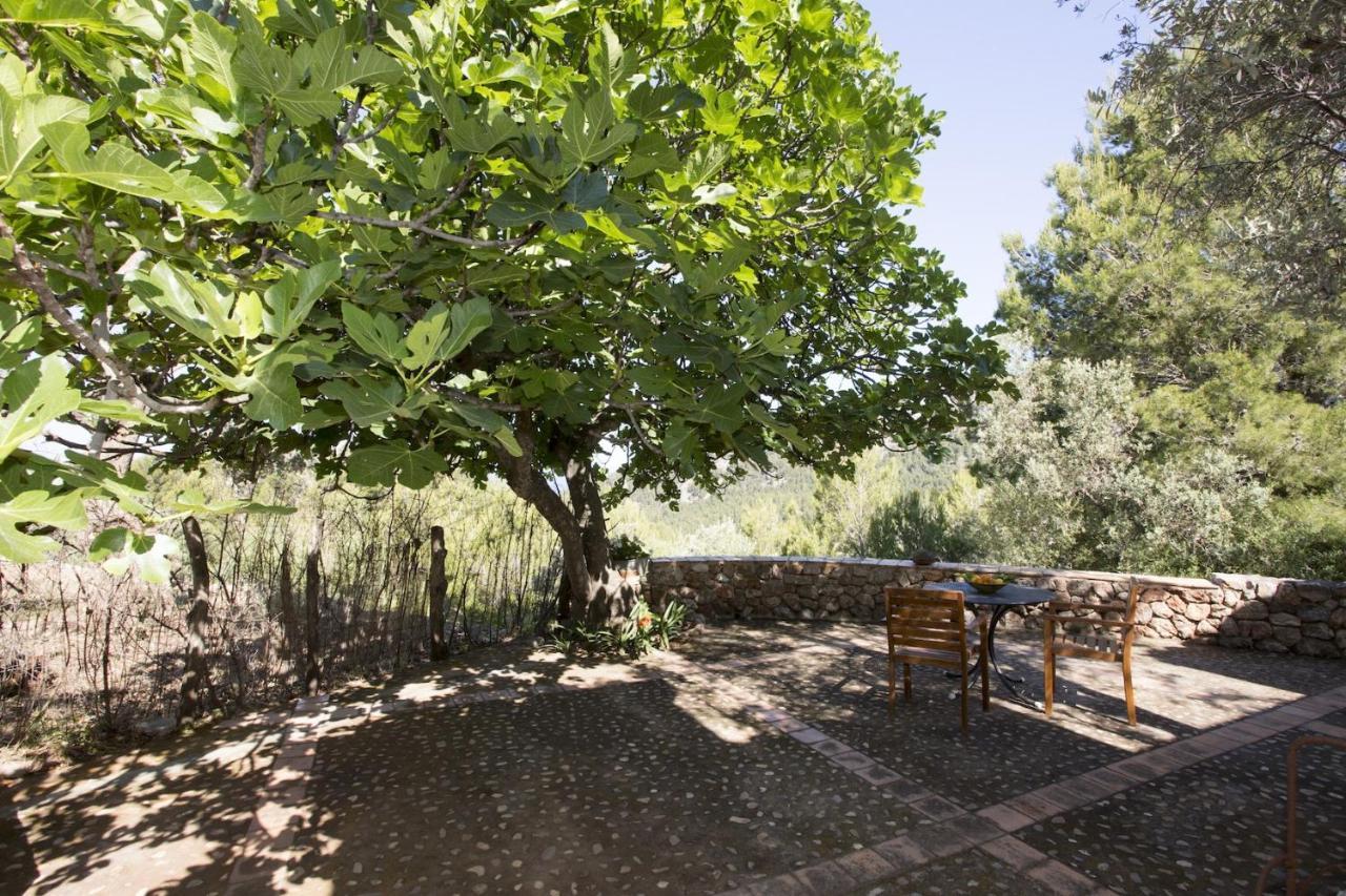 Villa Es Coco, Soller Puerto de Sóller 외부 사진