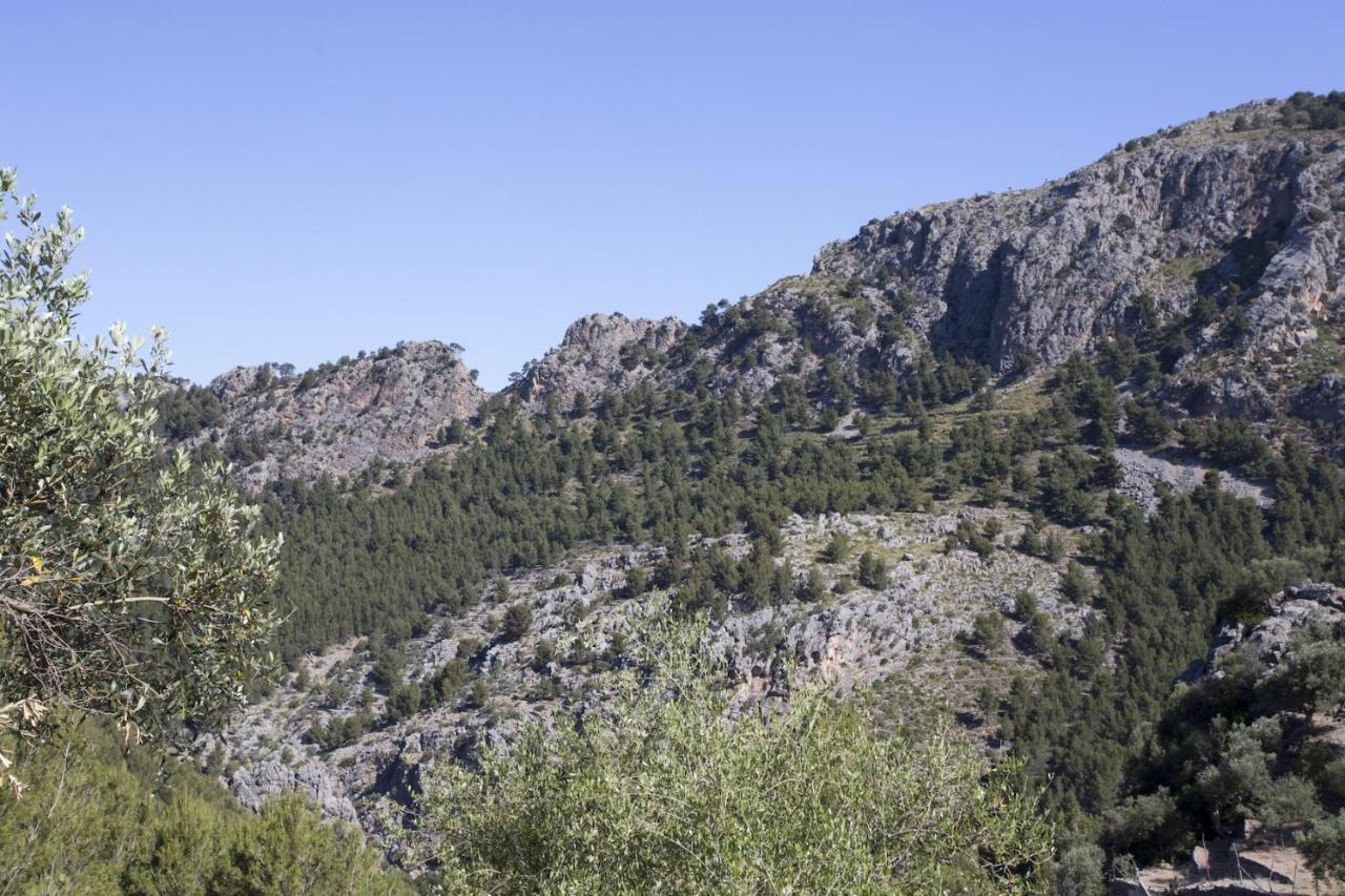 Villa Es Coco, Soller Puerto de Sóller 외부 사진